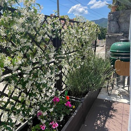Apartment Sonia Ičići Dış mekan fotoğraf